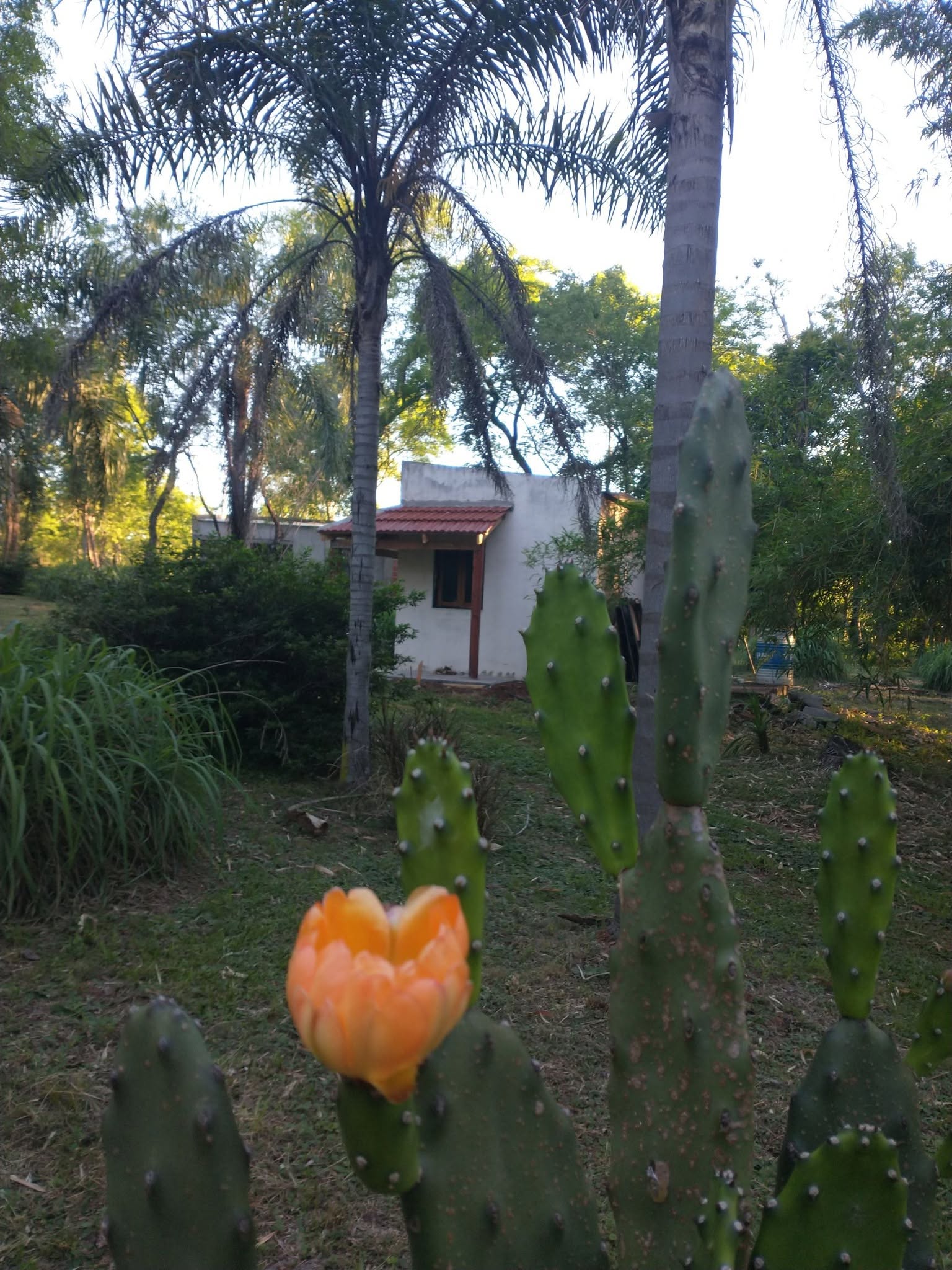 Foto 1
